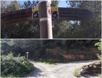 PR-C8 Santes Creus - Les Pobles - Castell de l'Albà- l'Albà - Santes Creus, camí de la Masieta al pas pel Torrent del Bruell