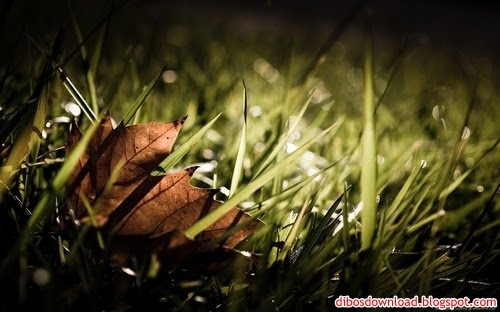 free widescreen wallpaper. FREE HD WIDESCREEN WALLPAPER