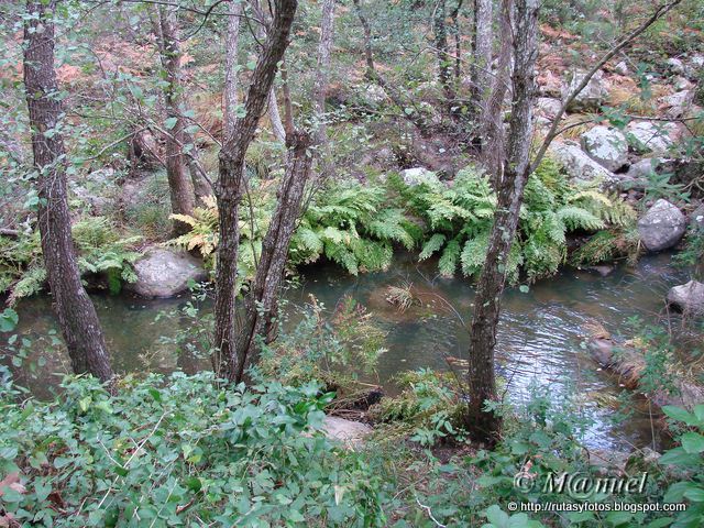 Sendero arroyo San Carlos del Tiradero