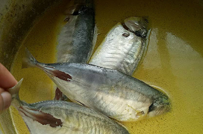 Resepi Ikan Selar Kuning Masak Lemak Cili Api