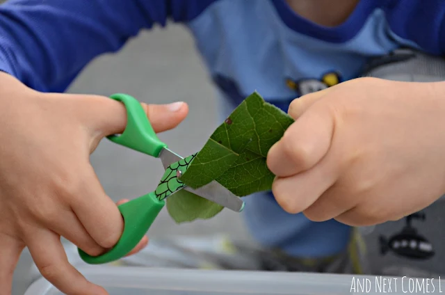 Fine motor scissor skills practice with leaves