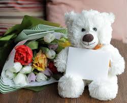 Teddy HD Images Happy Valentine's 2020