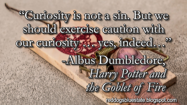 “Curiosity is not a sin. But we should exercise caution with our curiosity … yes, indeed…” -Albus Dumbledore, _Harry Potter and the Goblet of Fire_