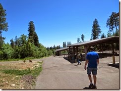 IMG_1441