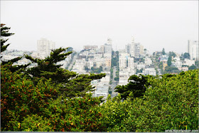 Vistas desde el Exterior de la Torre Coit de San Francisco