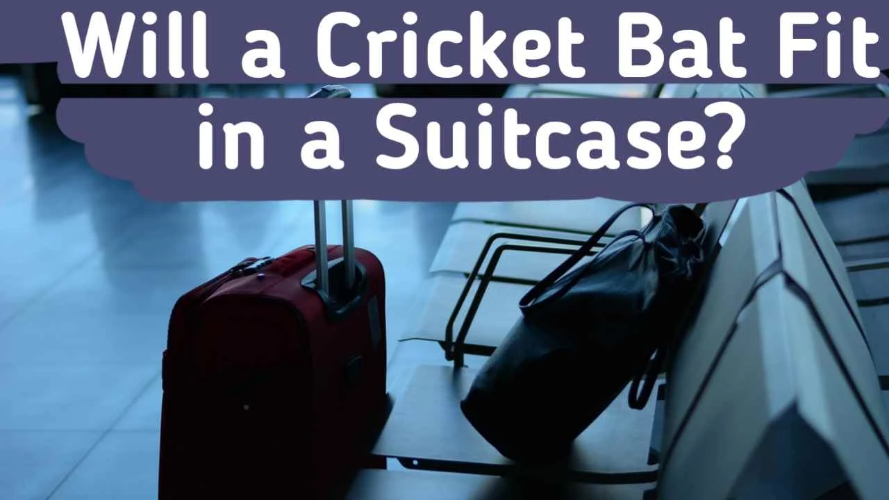 Can a cricket bat fit in a suitcase?