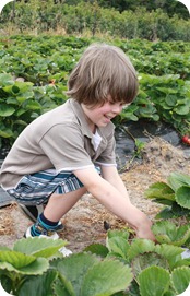 IMG_7726 (Large)