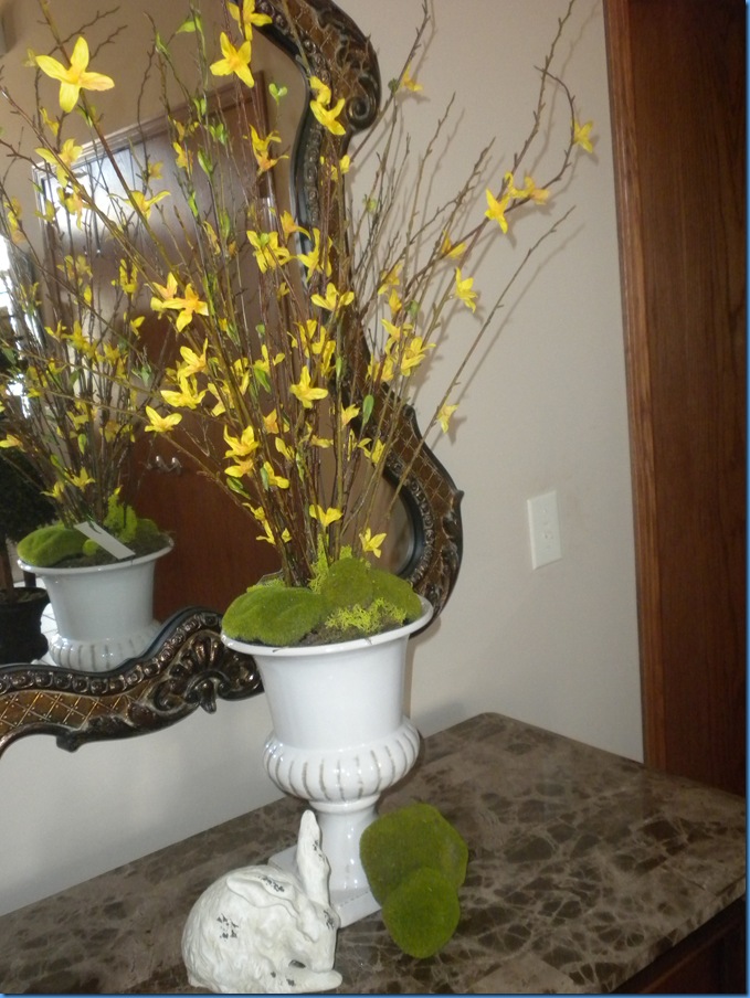 DSCN0920