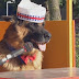 Dog Sells Hot Dogs 