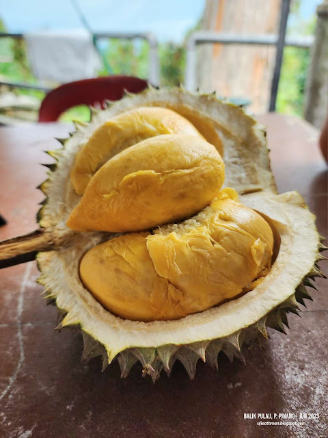 Makan Durian Balik Pulau di Anjung Indah