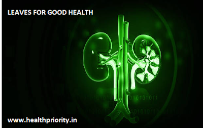 https://www.healthpriority.in/