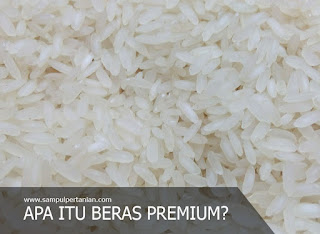 Apa Sih Beras Premium Itu?