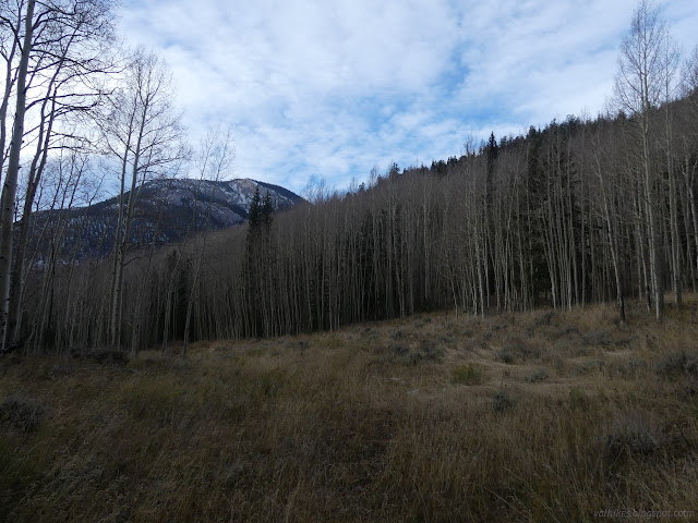 123: meadow and aspens