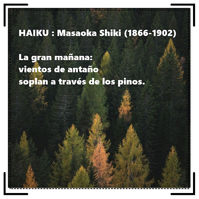 HAIKU : Masaoka Shiki (1866-1902)