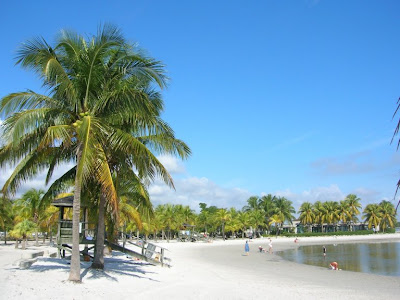 Our Venue: Matheson Hammock