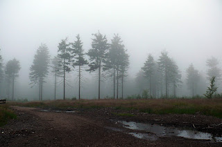 Główny Szlak Sudecki im. Mieczysława Orłowicza cz. 1 08-16.07.2011