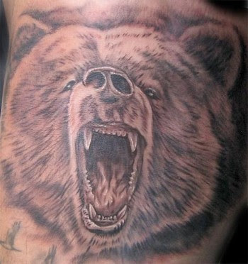 Bear Tattoos - How To Find The New Bear Tattoo Design