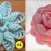 How to crochet 7 gorgeous different flowers