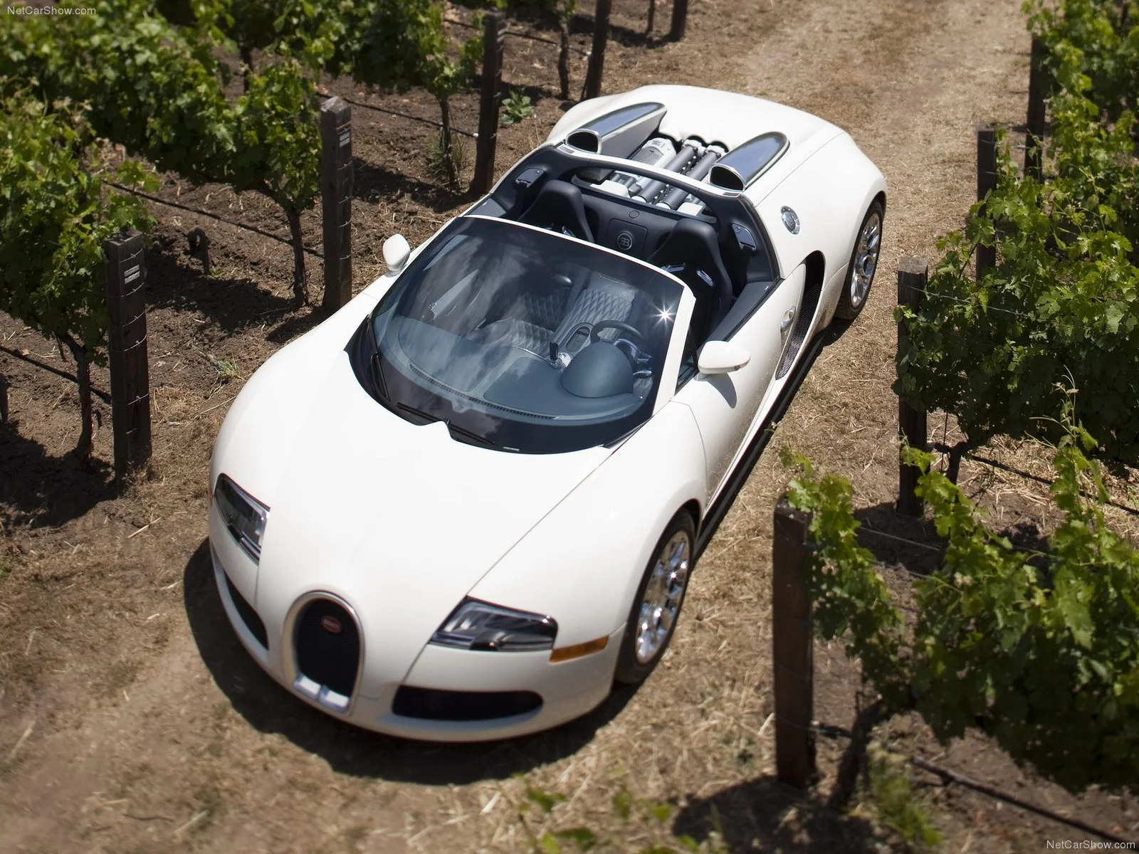 Hình ảnh siêu xe Bugatti Veyron Grand Sport 2009 & nội ngoại thất