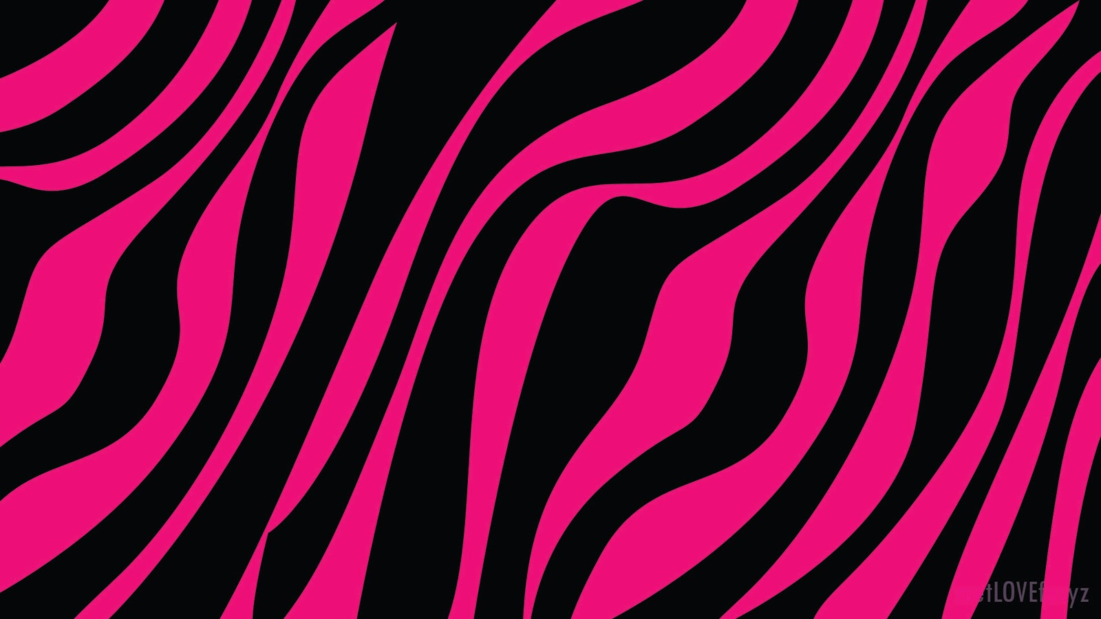 hd-wallpapers-hd: Iphone Wallpaper Zebra Print