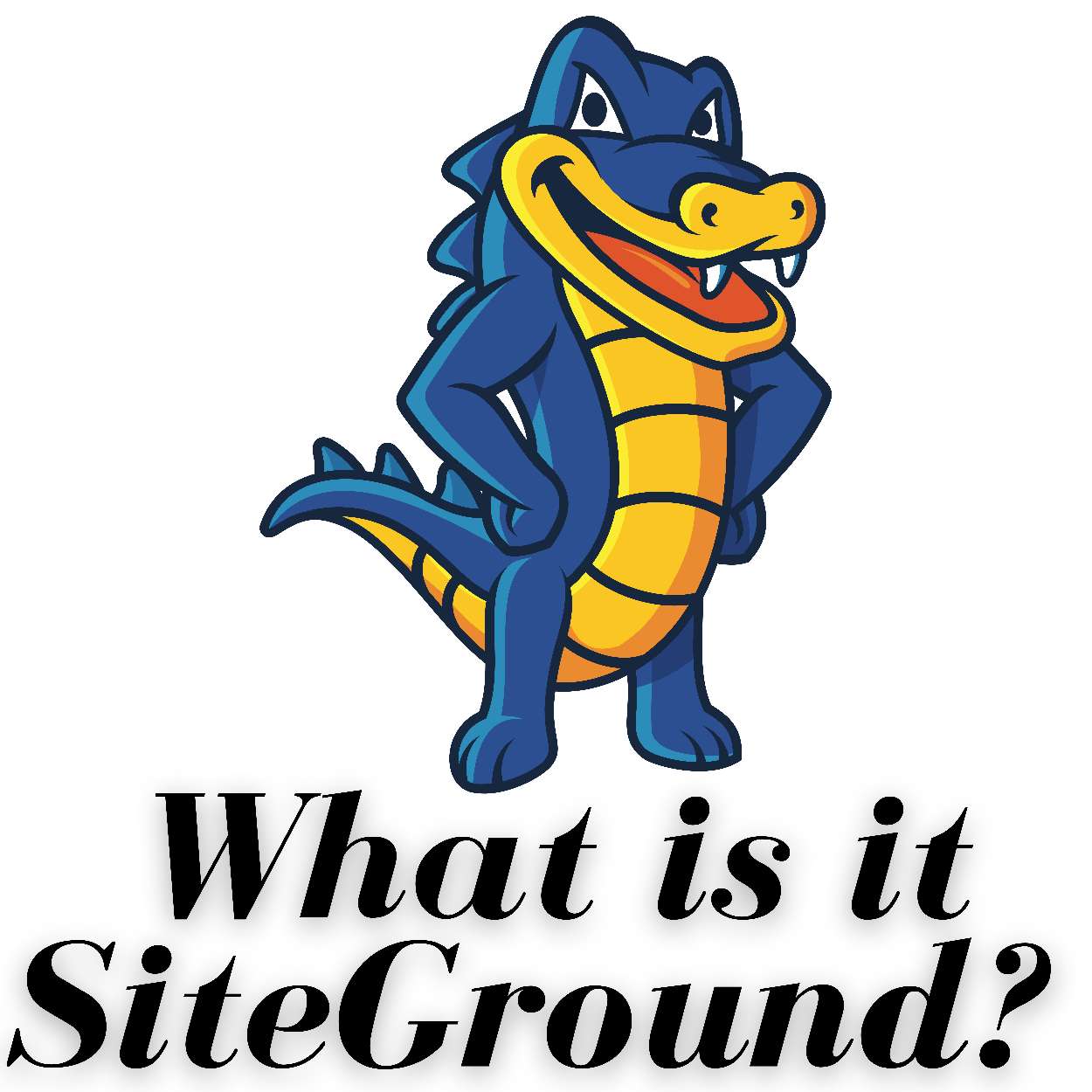 What is it SiteGround