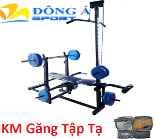 Ghế tập tạ đa năng Xuki giá rẻ, phù hợp cho tập thể hinh tại nhà