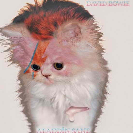 The Kitten Covers03