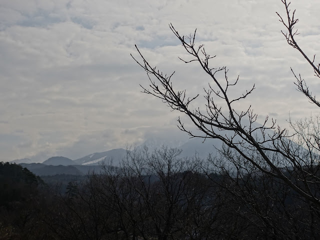 淀江どんぐり村　大山の眺望