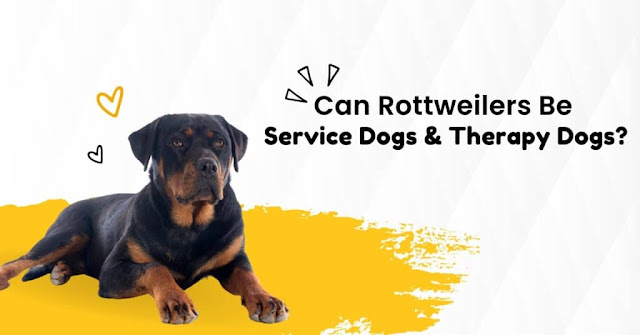 Can Rottweilers Be Service Dogs