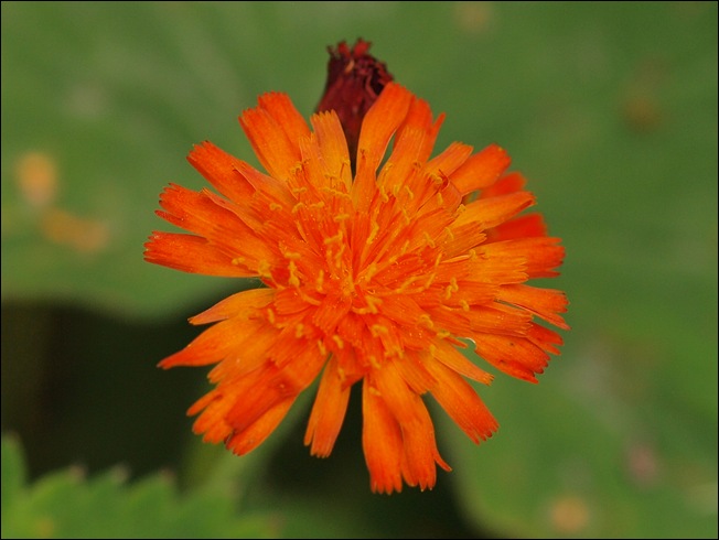 P7258741