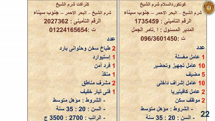 وزارة القوى العاملة تعلن عن  3717 فرصة عمل جديدة في 13 محافظة لمختلف التخصصات