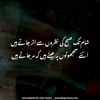 Poetry in Urdu - Shayari with Pics - text