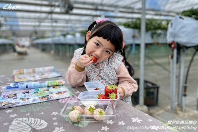 2023東京近郊超夯親子景點@台幣425元體驗《現採現吃有機