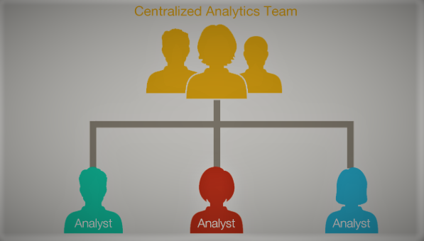  Centralized Analytics Team