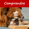 Comprendre