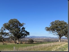 180517 002 Road to Cowra