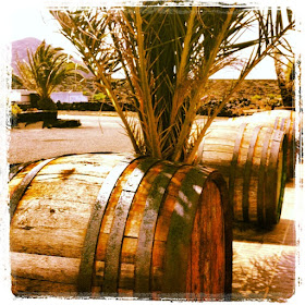 Barrels outside the Bodega Barreto in Lanzarote