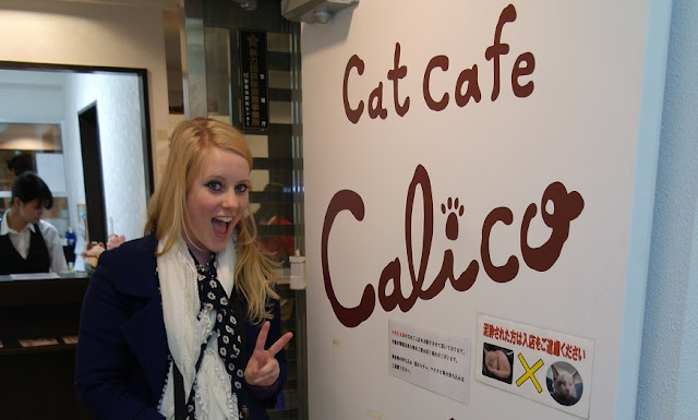 Calico Cat Café, Tokyo