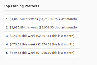 Top Earning partners