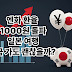 엔화 환율 1000원 돌파! 일본 여행, 지금 가도 괜찮을까? (2025년 최신판)