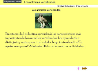  Animales vertebrados