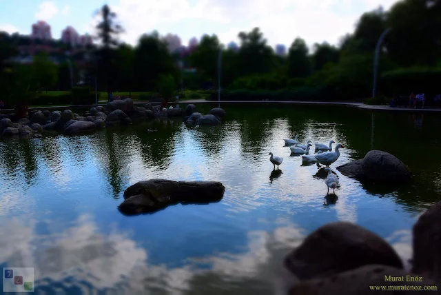 Bahçeşehir Park Gölet - Bahçeşehir Göleti - Bahçeşehir Gölet Alanı - Bahçeşehir Gölet Parkı