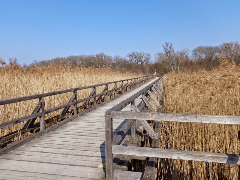 Wanderland Austria: Radtour durch die untere Lobau
