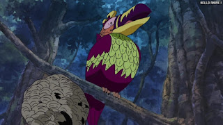 ワンピース アニメ 149話 サウスバード | ONE PIECE Episode 149