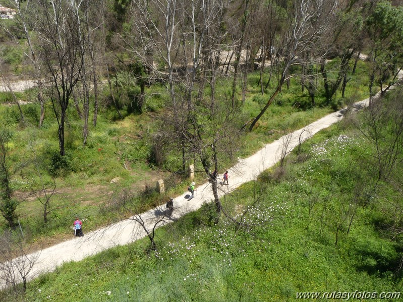 Estación de Cortes - Estación de Benaoján por el sendero del río Guadiaro