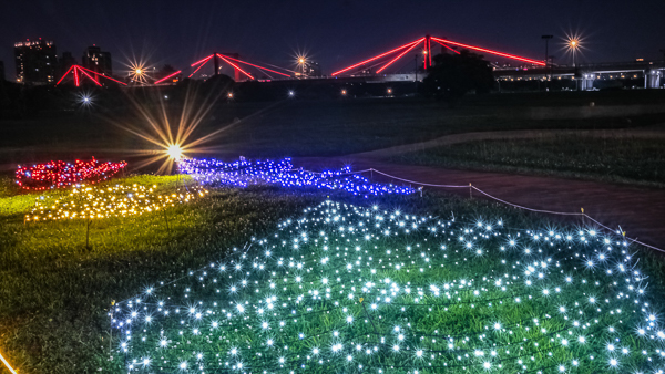 2023新北河濱蝶戀季-板橋蝴蝶公園花海地景藝術展，免費參觀