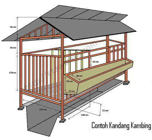 Metode Penggemukan Kambing Dan kriteria Bibit | Panduan ...