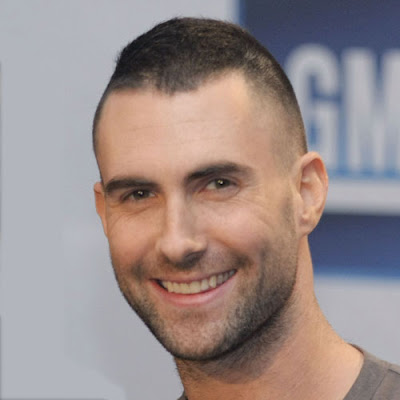 short spiky hairstyles for men. Adam Levine Short Haircuts for