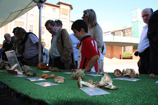 Exposición de la Sociedad Micológica de Barakaldo