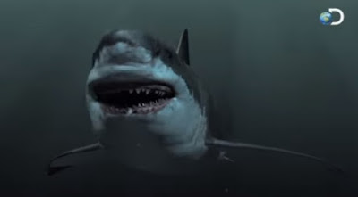 gambar hiu raksasa megalodon